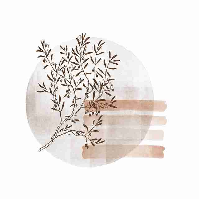 创作者计划-麻豆app-体验报告-看点大合集 第1张 创作者计划-麻豆app-体验报告-看点大合集 第1张